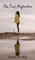 The Sea's Reflection