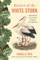 Return of the White Stork