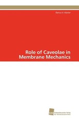 Role of Caveolae in Membrane Mechanics
