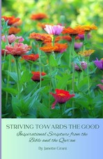 Striving Towards The Good