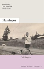 Flamingos