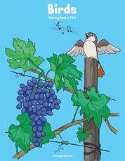 Birds Coloring Book 4, 5 & 6