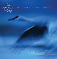 On Ancient Wings