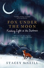 Fox Under the Moon