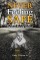 Never Feeling Safe