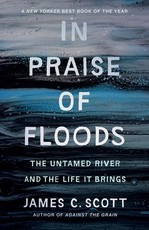 In Praise of Floods