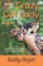 Memoir of a Crazy Cat Lady