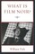 What is Film Noir?