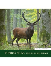 Punios šilas. Senųjų girių takais