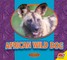 African Wild Dog