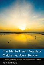 The Mental Health Needs of Children & Young People