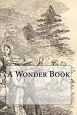 A Wonder Book
