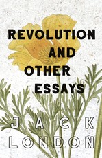 Revolution and Other Essays