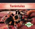 TarÃ¡ntulas (Tarantula Spiders) (Spanish Version)