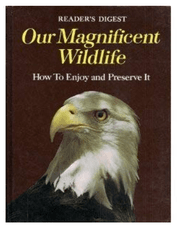 Our Magnificent Wildlife: How to Enjoy and Preserve It