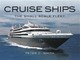 Cruise Ships The Small Scale Fleet