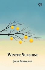 Winter Sunshine