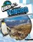 Exploring Tundra Ecosystems and Habitats