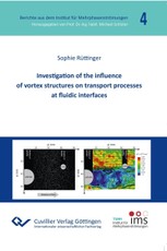 Investigation of the influence  of vortex structures on transport processes at fluidic interfaces