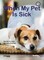 When My Pet Is Sick