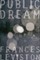 Public Dream