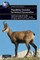 Population Genetics for Animal Conservation