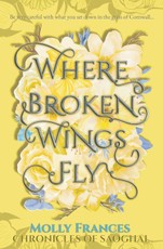 Where Broken Wings Fly