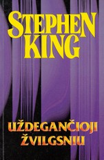 Uždegančioji žvilgsniu