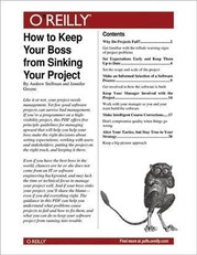 How to Keep Your Boss from Sinking Your Project