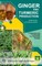 Ginger and Turmeric Production