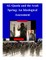 AL-Qaeda and the Arab Spring