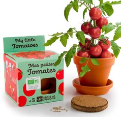 Auginimo rinkinys vaikams RADIS et CAPUCINE „Ekologiški vyšniniai pomidorai“