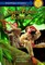 Swiss Family Robinson
