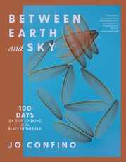 Between Earth and Sky