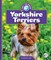 Yorkshire Terriers