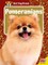 Pomeranians