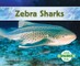 Zebra Sharks
