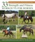 Strength and Fitness Workouts for Horses