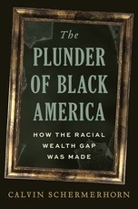 The Plunder of Black America