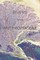 Rivers of the Anthropocene