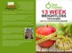 DIET EXPRESS 13 WEEK WEIGHT LOSS PROGRAM Julie Donaldson [Jun 01, 2020]