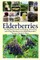 Elderberries
