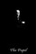 The Pupil