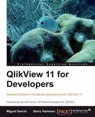 QlikView 11 for Developers
