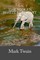 The Stolen White Elephant