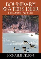 Boundary Waters Deer