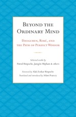 Beyond the Ordinary Mind