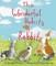 The Wonderful Habits of Rabbits