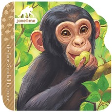 Jane & Me Chimpanzees