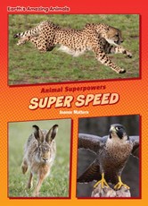 Super Speed